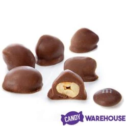 Brach's Double Dippers Milk Chocolate Covered Peanuts: 12-Ounce Bag -Best Candy Store brach s double dippers milk chocolate covered peanuts 12 ounce bag candy warehouse 3 6c5445c4 b288 498f b1a5 4083f6aed8f9