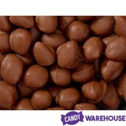 Brach's Double Dippers Milk Chocolate Covered Peanuts: 12-Ounce Bag -Best Candy Store brach s double dippers milk chocolate covered peanuts 12 ounce bag candy warehouse 4 7a6bd210 22d2 46b8 86dc 4fa28e85147b