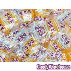 Brach's Sugar Free Butterscotch Candy Discs: 2.6LB Box -Best Candy Store brach s sugar free butterscotch candy discs 2 6lb box candy warehouse 3 b22dd37a 5d07 4847 84ec 20e89561d58b
