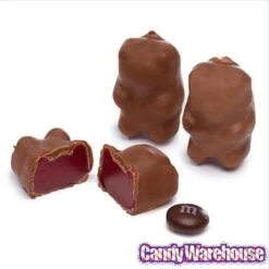 Best Candy Store -Best Candy Store chocolate covered cinnamon bears 14 ounce bag candy warehouse 2