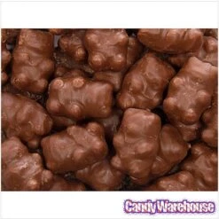 Chocolate Covered Cinnamon Bears: 14-Ounce Bag -Best Candy Store chocolate covered cinnamon bears 14 ounce bag candy warehouse 3