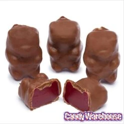 Chocolate Covered Cinnamon Bears: 14-Ounce Bag -Best Candy Store chocolate covered cinnamon bears 14 ounce bag candy warehouse 4
