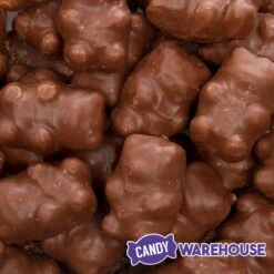 Chocolate Covered Cinnamon Bears: 3LB Bag -Best Candy Store chocolate covered cinnamon bears 3lb bag candy warehouse 3 09c9fde5 5480 4125 bc3e 99c47ff0568d