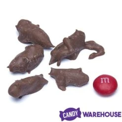 Chocolate Covered Crickets: 100-Piece Tub -Best Candy Store chocolate covered crickets 100 piece tub candy warehouse 3