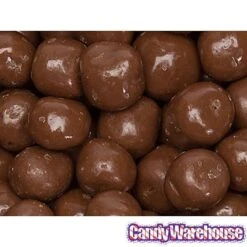 Chocolate Covered S'Moresels: 2LB Bag -Best Candy Store chocolate covered s moresels 2lb bag candy warehouse 3