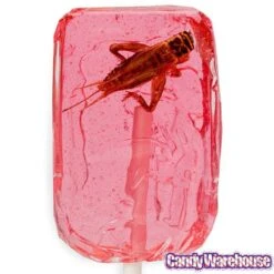 Cricket Lollipops: 36-Piece Box -Best Candy Store cricket lollipops 36 piece box candy warehouse 4