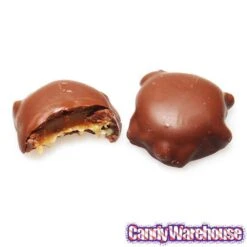 DeMet's Turtles Bite Size Chocolates: 60-Piece Box -Best Candy Store demet s turtles bite size chocolates 60 piece box candy warehouse 4