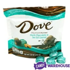 Dove Dark Chocolate Sea Salt Caramel Squares: 28-Piece Bag -Best Candy Store dove dark chocolate sea salt caramel squares 28 piece bag candy warehouse 5