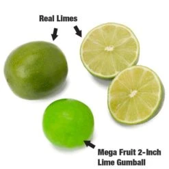 Dubble Bubble Mega Fruit 2-Inch Gumballs: 138-Piece Case -Best Candy Store dubble bubble mega fruit 2 inch gumballs 138 piece case candy warehouse 3 7e3b768f 881f 41d7 b53e 9ee6843e3179