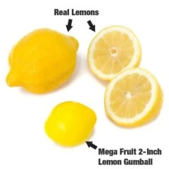 Dubble Bubble Mega Fruit 2-Inch Gumballs: 138-Piece Case -Best Candy Store dubble bubble mega fruit 2 inch gumballs 138 piece case candy warehouse 4 1db9c377 69f2 4258 8701 0023d62dfae6