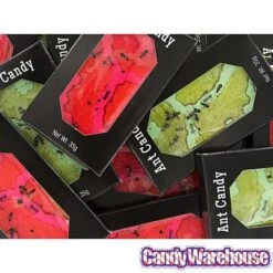 Edible Ant Farm Candy Packs: 24-Piece Box -Best Candy Store edible ant farm candy packs 24 piece box candy warehouse 3 b93032bc 2f4f 4996 bd7b 5dc8642b6554