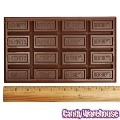 Hershey's 1-Pound Milk Chocolate Bar -Best Candy Store hershey s 1 pound milk chocolate bar candy warehouse 3