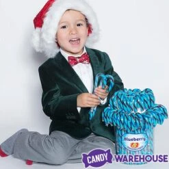 Jelly Belly Candy Canes - Blueberry: 80-Piece Bucket -Best Candy Store jelly belly candy canes blueberry 80 piece bucket candy warehouse 3