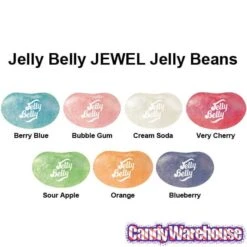 Jelly Belly Jewel: 10LB Case -Best Candy Store jelly belly jewel 10lb case candy warehouse 4