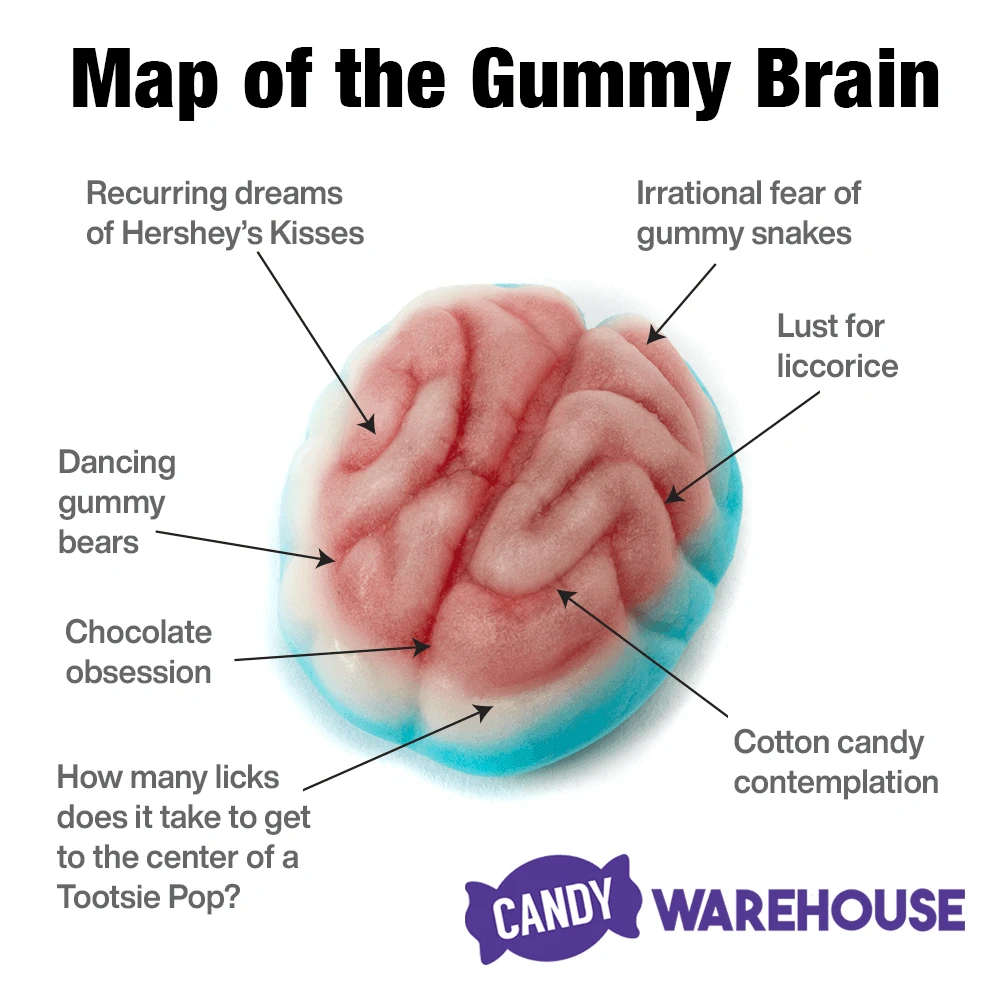 Jelly Filled Gummy Brains: 1KG Bag 3 Jelly Filled Gummy Brains: 1KG Bag - Image 3