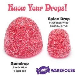 Jumbo Gumdrops Candy: 5LB Bag -Best Candy Store jumbo gumdrops candy 5lb bag candy warehouse 4 0840f1f6 a14c 40b8 a375 89b9c6d7583d