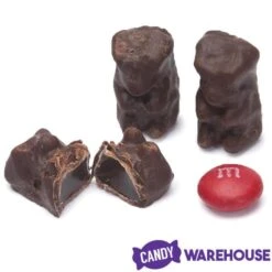 Koppers Dark Chocolate Covered Gummi Bears: 1LB Jar -Best Candy Store koppers dark chocolate covered gummi bears 1lb jar candy warehouse 3