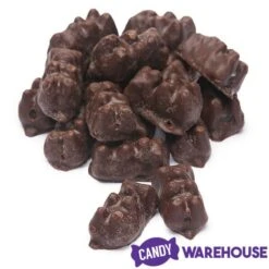 Koppers Dark Chocolate Covered Gummi Bears: 1LB Jar -Best Candy Store koppers dark chocolate covered gummi bears 1lb jar candy warehouse 4