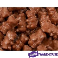 Koppers Milk Chocolate Covered Gummi Bears: 1LB Jar -Best Candy Store koppers milk chocolate covered gummi bears 1lb jar candy warehouse 5