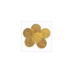 Madelaine Gold Foiled Milk Chocolate Coins - Large: 5LB Bag 7 Madelaine Gold Foiled Milk Chocolate Coins - Large: 5LB Bag -Best Candy Store madelaine gold foiled milk chocolate coins large 5lb bag candy warehouse 4 6cf33ae3 7234 4090 8067 b61f1511377b