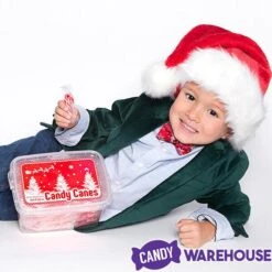 Mini Candy Canes - Red And White: 100-Piece Tub -Best Candy Store mini candy canes red and white 100 piece tub candy warehouse 3