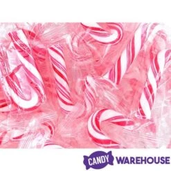 Mini Candy Canes - Red And White: 100-Piece Tub -Best Candy Store mini candy canes red and white 100 piece tub candy warehouse 7