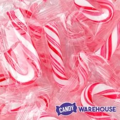 Mini Candy Canes - Red And White: 45-Piece Jar -Best Candy Store mini candy canes red and white 45 piece jar candy warehouse 5