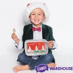 Mini Candy Canes - Red, Green, And White: 100-Piece Tub -Best Candy Store mini candy canes red green and white 100 piece tub candy warehouse 3