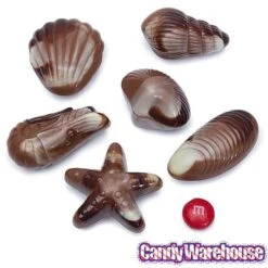 Nautilus Belgian Chocolate Seashells: 18-Piece Box -Best Candy Store nautilus belgian chocolate seashells 18 piece box candy warehouse 4
