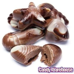 Nautilus Belgian Chocolate Seashells: 18-Piece Box -Best Candy Store nautilus belgian chocolate seashells 18 piece box candy warehouse 5