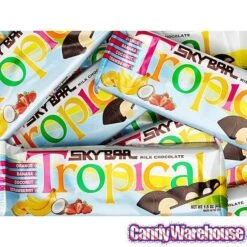 Necco Sky Bar Candy Bars - Tropical: 24-Piece Box -Best Candy Store necco sky bar candy bars tropical 24 piece box candy warehouse 3 79f07914 5edd 496c bd7a b5bbb56c83e4