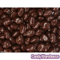 Raisinets Milk Chocolate Raisins Candy: 8-Ounce Bag -Best Candy Store raisinets milk chocolate raisins candy 8 ounce bag candy warehouse 4 e8189a75 ec0b 4767 a160 01f21970455a