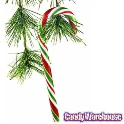Red - White - Green Peppermint Candy Canes: 18-Piece Box -Best Candy Store red white green peppermint candy canes 18 piece box candy warehouse 3