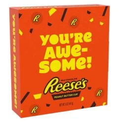 Reeses Large 5-Ounce Peanut Butter Appreciation Cups: 2-Piece Pack 5 Reeses Large 5-Ounce Peanut Butter Appreciation Cups: 2-Piece Pack -Best Candy Store reeses large 5 ounce peanut butter appreciation cups 2 piece pack candy warehouse 3
