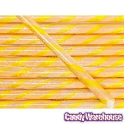 Salted Caramel Hard Candy Sticks: 100-Piece Box -Best Candy Store salted caramel hard candy sticks 100 piece box candy warehouse 3