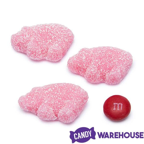 Sour Gummy Piglets: 2KG Bag 4 Sour Gummy Piglets: 2KG Bag - Image 4