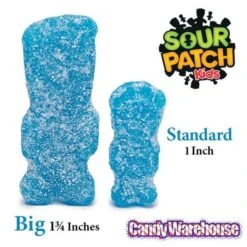 Sour Patch Kids Candy - Berries: 5.4LB Box -Best Candy Store sour patch kids candy berries 5 4lb box candy warehouse 3