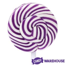 Squiggly Pops Petite Swirl Lollipops - Grape: 24-Piece Jar -Best Candy Store squiggly pops petite swirl lollipops grape 24 piece jar candy warehouse 5 f1c8a5ec 8131 48b4 8225 01a7b047e282