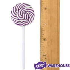 Squiggly Pops Petite Swirl Lollipops - Grape: 24-Piece Jar -Best Candy Store squiggly pops petite swirl lollipops grape 24 piece jar candy warehouse 6 ac3a993e 5d74 498d b710 408838918b01