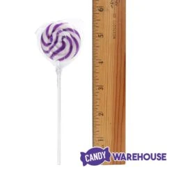 Swipple Pops Petite Swirl Ripple Lollipops - Purple Grape: 60-Piece Tub -Best Candy Store swipple pops petite swirl ripple lollipops purple grape 60 piece tub candy warehouse 4