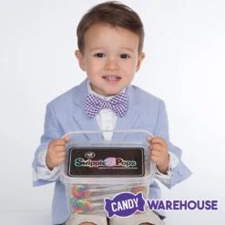 Swipple Pops Petite Swirl Ripple Lollipops - Rainbow Cherry: 60-Piece Tub -Best Candy Store swipple pops petite swirl ripple lollipops rainbow cherry 60 piece tub candy warehouse 5